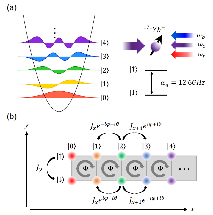 段路明研究组利用囚禁离子实现合成维度和拓扑模型的量子模拟